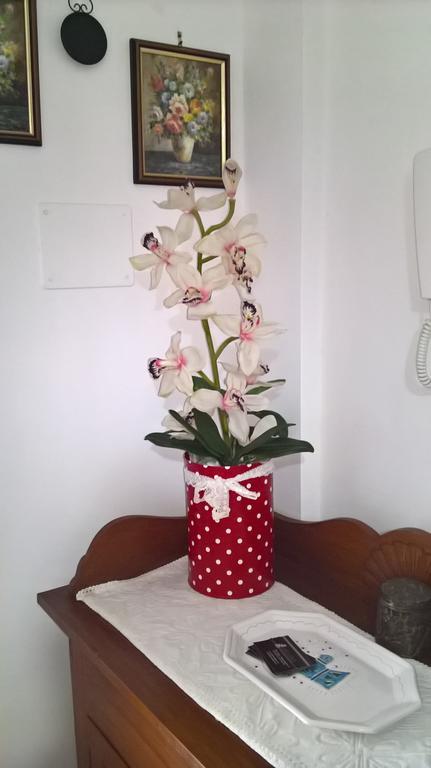 Appartamento Tulipano ألغيرو المظهر الخارجي الصورة